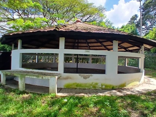 place photo 52