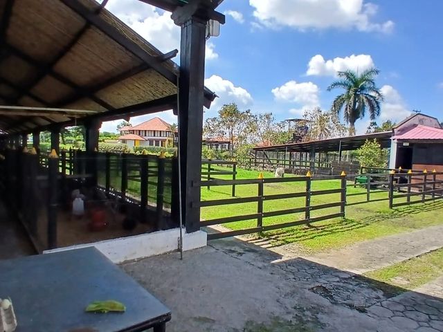 place photo 60