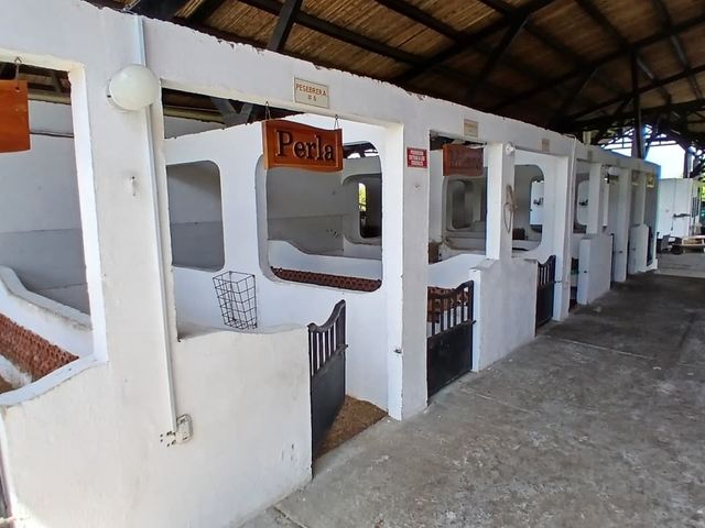 place photo 51