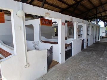 place photo 51