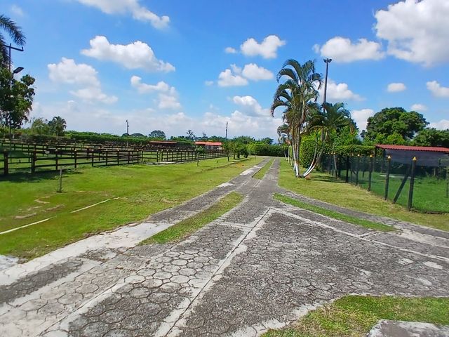 place photo 61