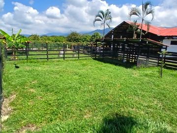 place photo 43