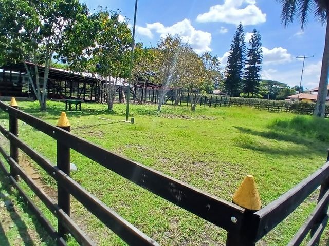 place photo 56