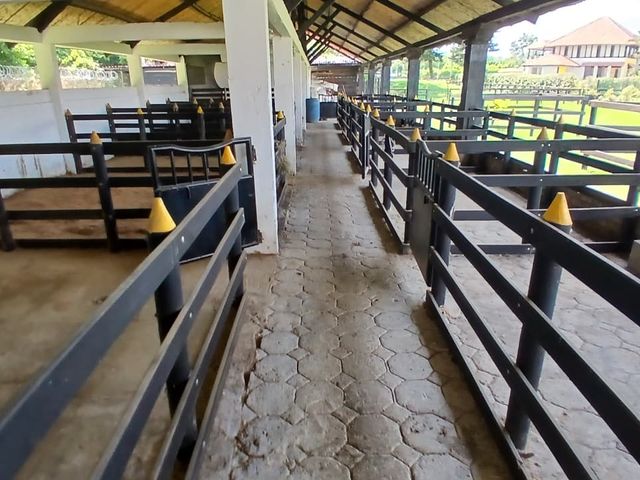 place photo 58