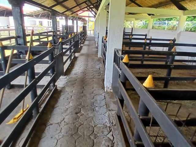 place photo 57