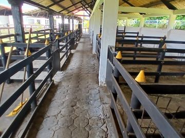 place photo 57