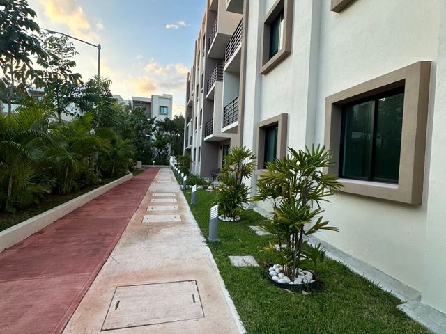place photo 24