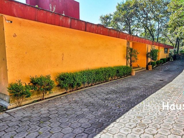 place photo 38