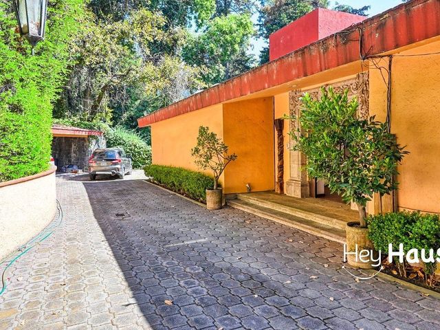 place photo 42