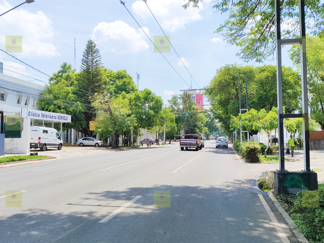 place photo 37