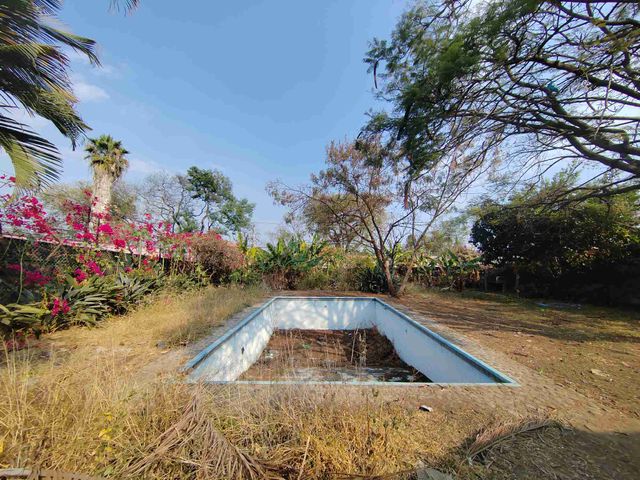 place photo 23
