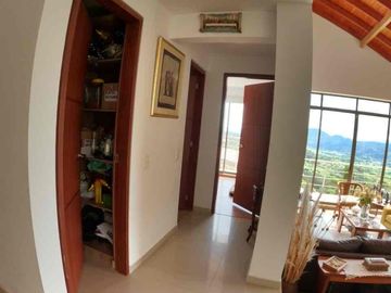 place photo 43