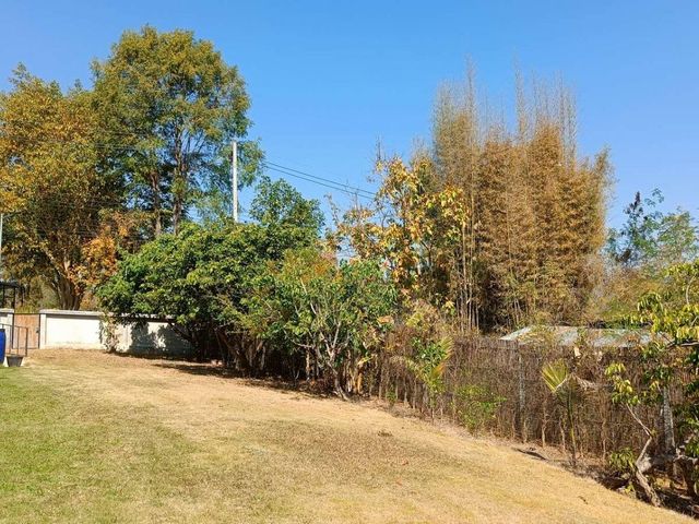 place photo 44