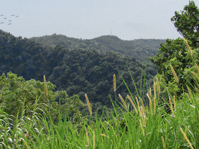 125-Hectare Taal Lakefront Property for Sale in Laurel Batangas | Metro Tagaytay | ₱2,000/sqm
