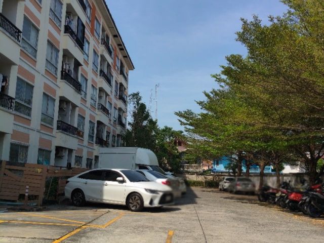 place photo 14