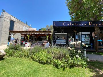 place photo 22