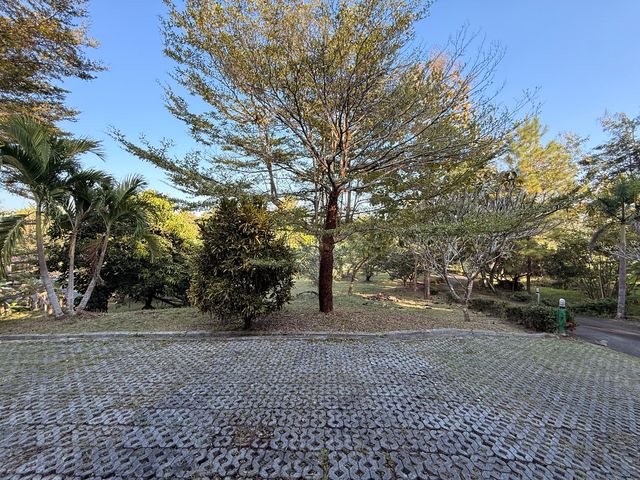place photo 41