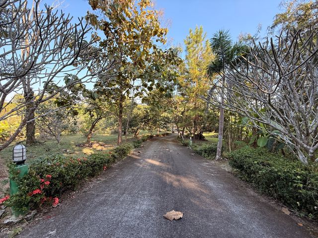 place photo 46