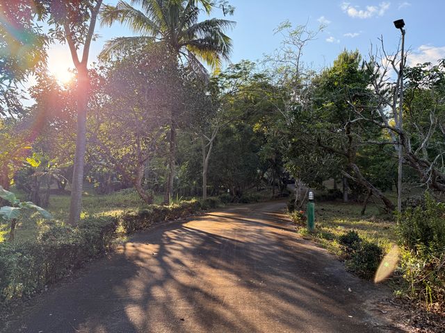 place photo 45