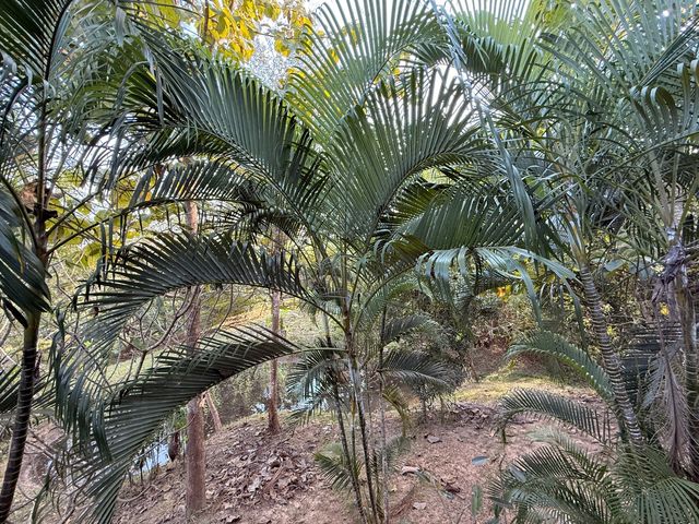 place photo 30