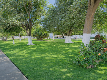 place photo 25