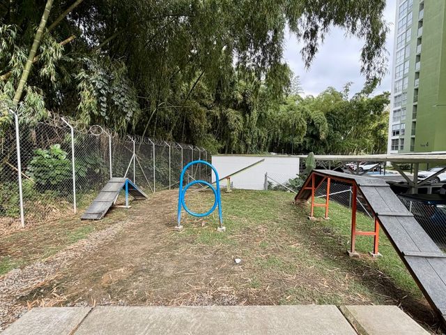 place photo 48