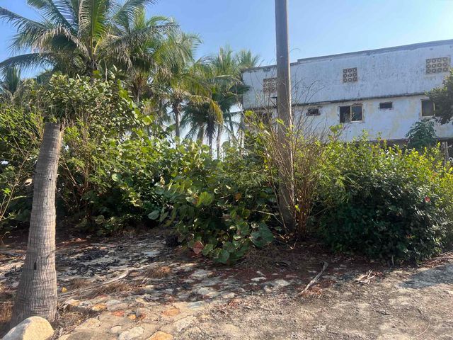 place photo 18