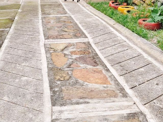 place photo 29