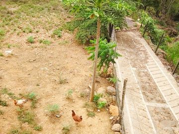 place photo 30