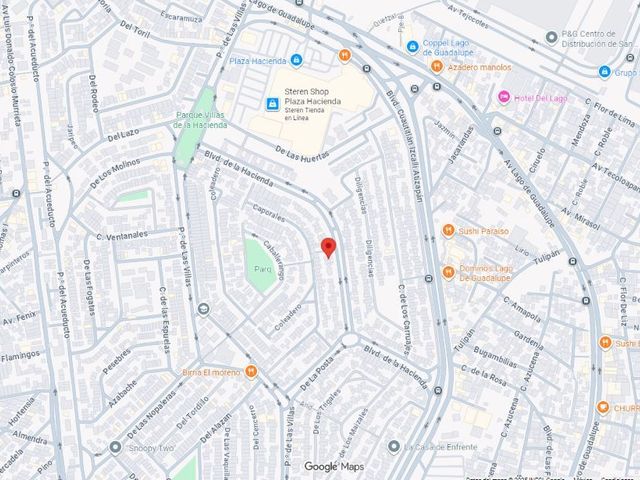place photo 11