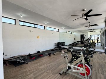 place photo 18