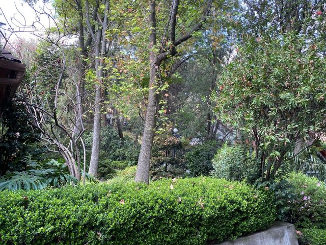 place photo 55