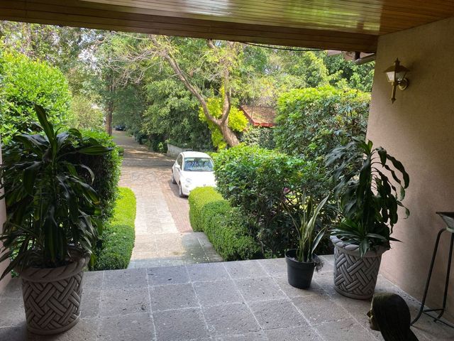 place photo 57
