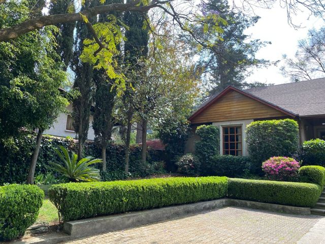 place photo 60