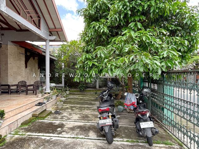 place photo 5