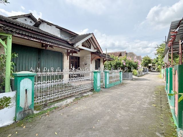 place photo 23