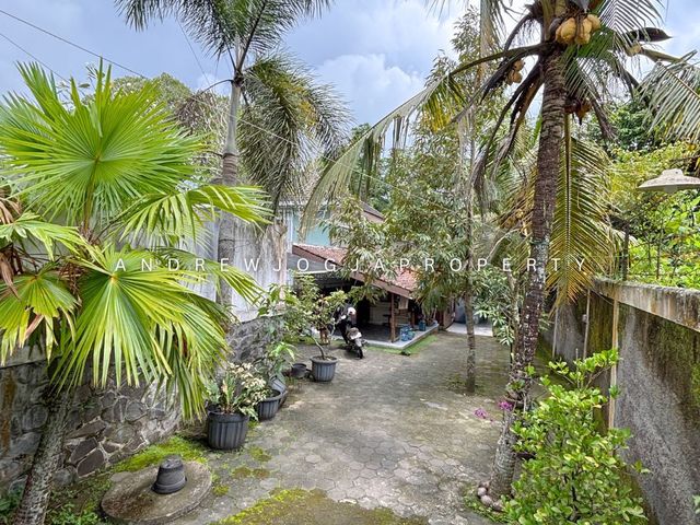 place photo 22