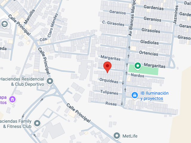 place photo 6