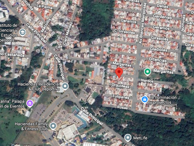 place photo 7