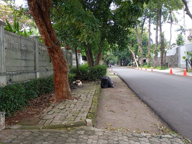 place photo 13