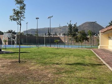 place photo 23