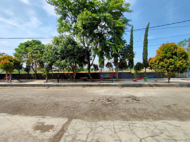 place photo 8