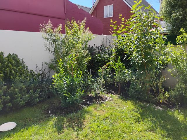 place photo 30