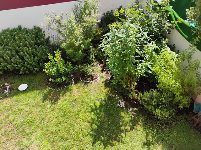 place photo 28