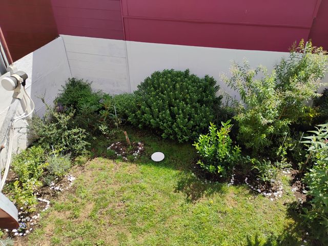 place photo 29