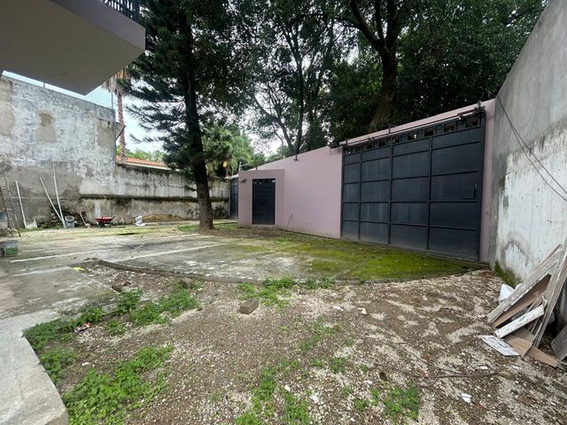 place photo 48