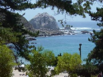 place photo 24