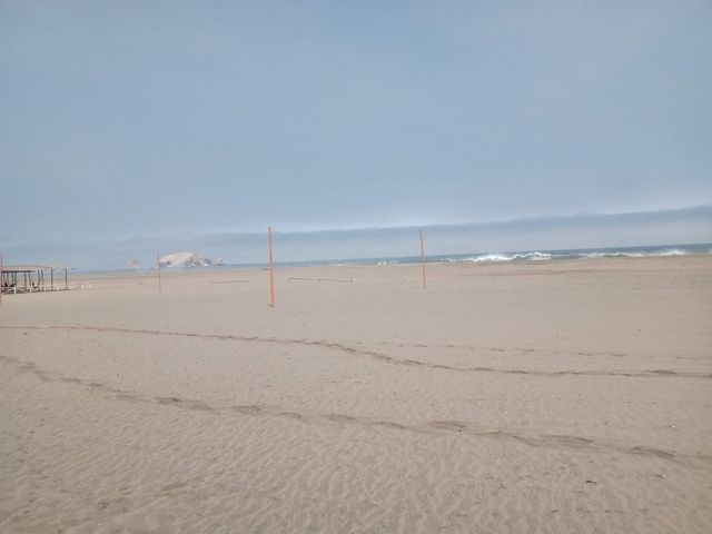 place photo 43