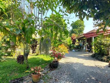 place photo 51