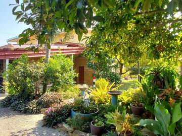 place photo 52